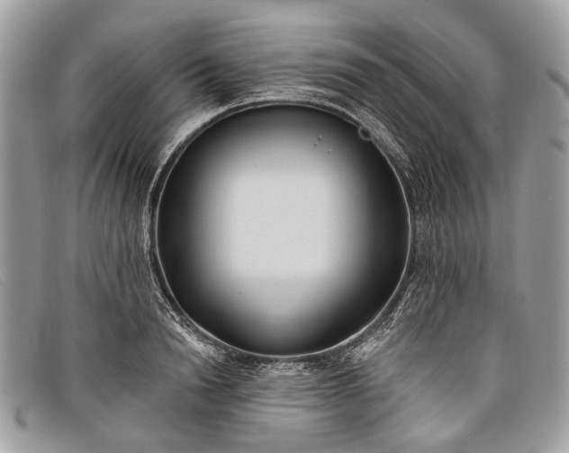 X0000098030846200804111320