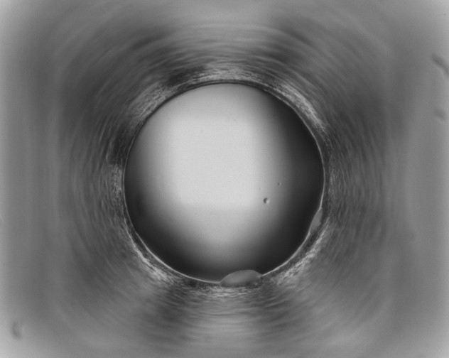 X0000098030849200804111320