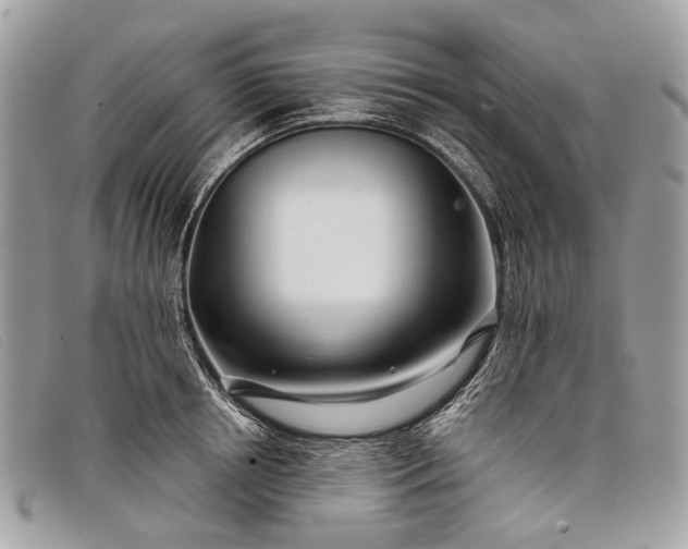 X0000098030850200804111320