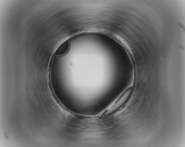 X0000098030853200804111321