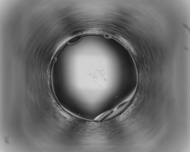 X0000098030854200804111321