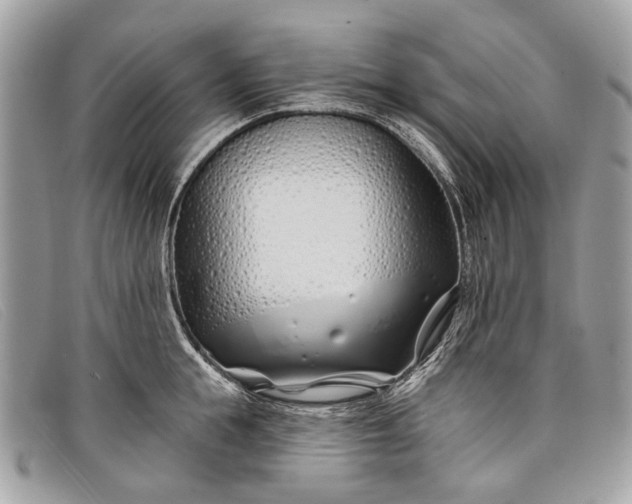 X0000098030855200804111321