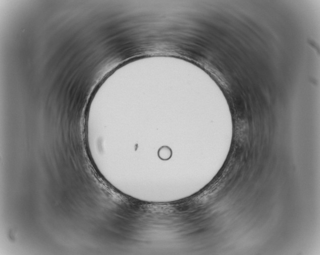 X0000098030856200804111321