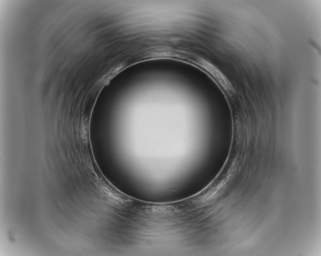 X0000098030857200804111321