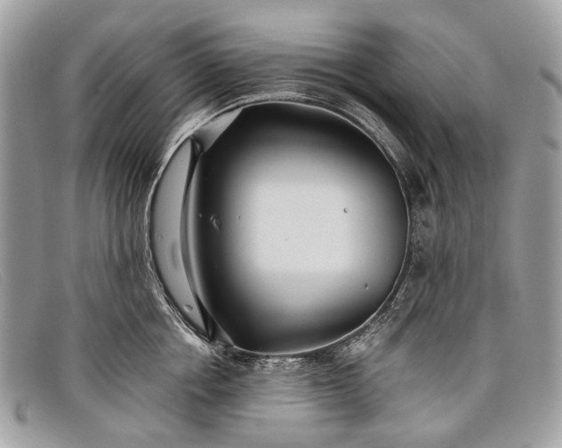 X0000098030858200804111321