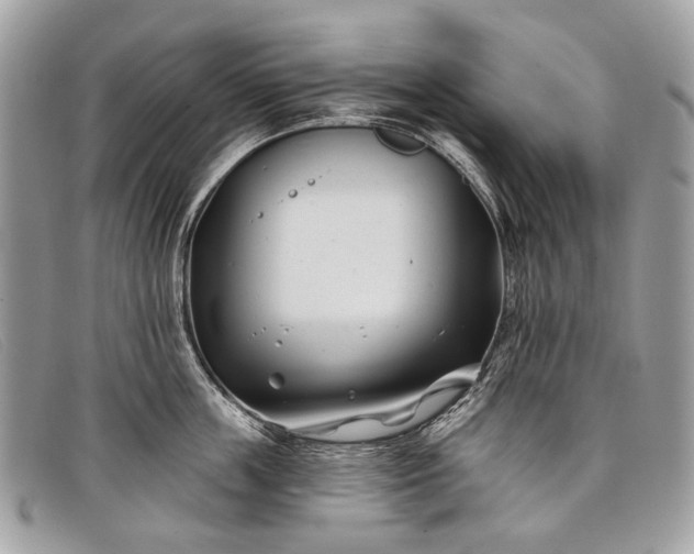 X0000098030859200804111321