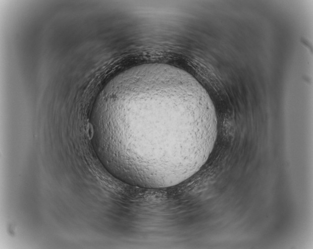 X0000098030865200804111320