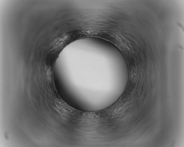 X0000098030866200804111320