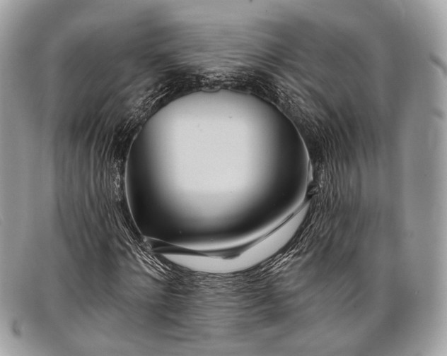 X0000098030868200804111320