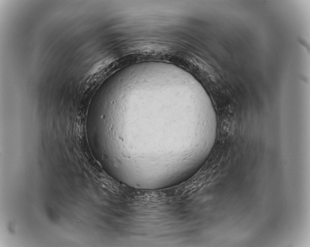 X0000098030869200804111320