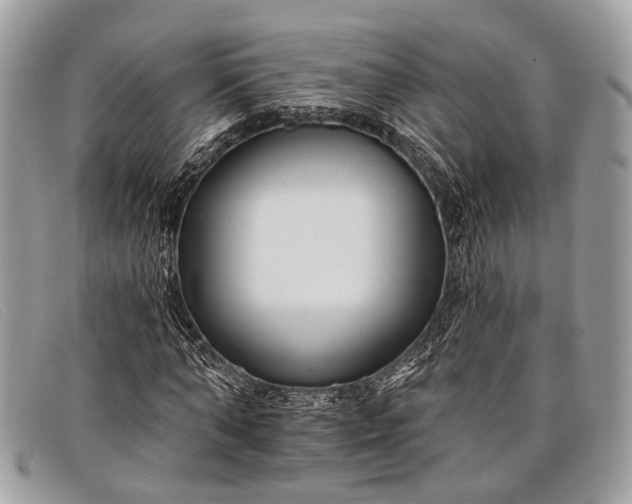 X0000098030870200804111320