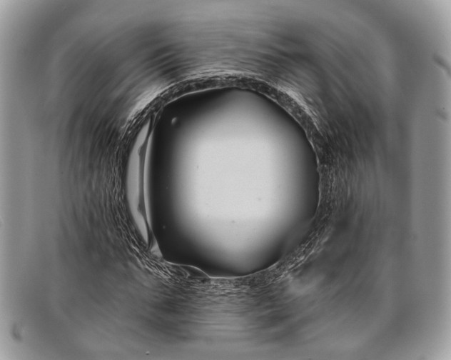 X0000098030871200804111320