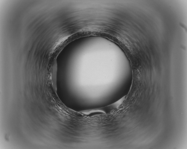 X0000098030872200804111320