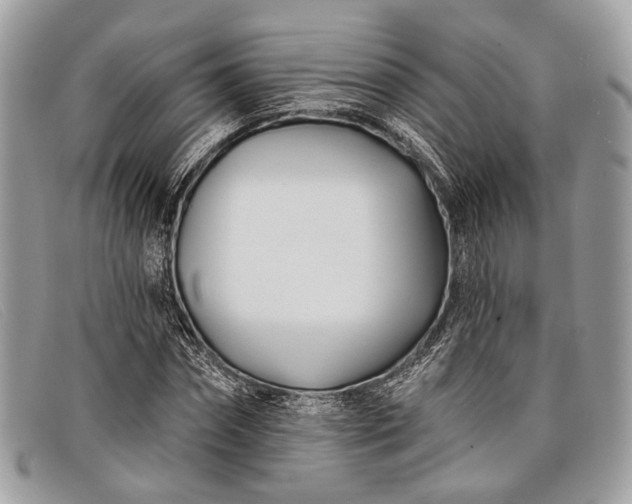 X0000098030874200804111320