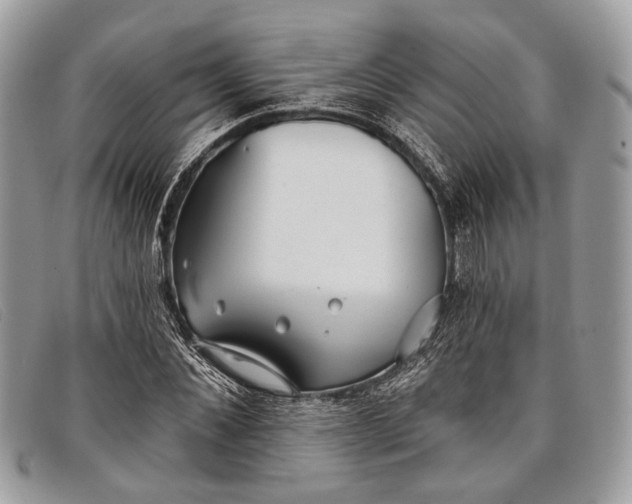 X0000098030876200804111320