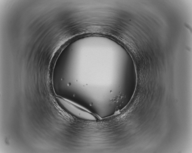 X0000098030880200804111320