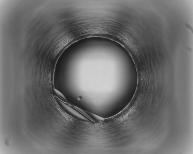 X0000098030881200804111320