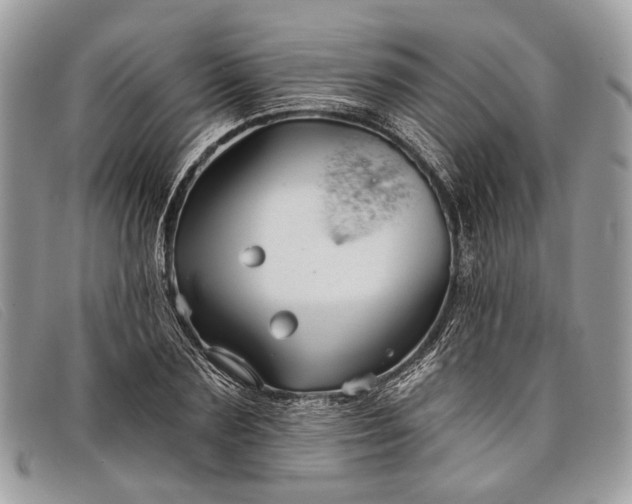 X0000098030883200804111320