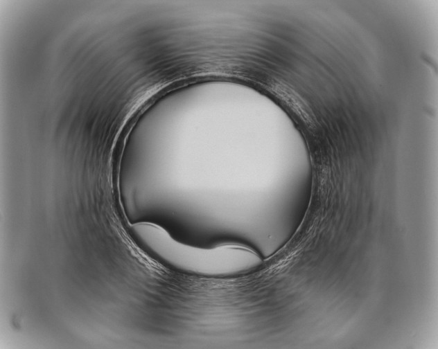 X0000098030884200804111320