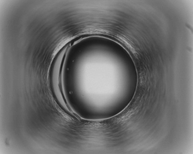 X0000098030885200804111320