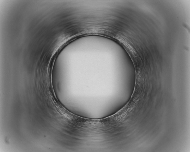 X0000098030886200804111320