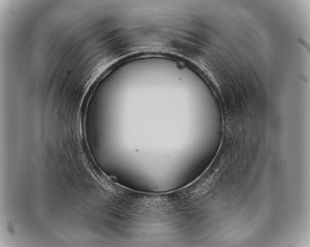 X0000098030887200804111320