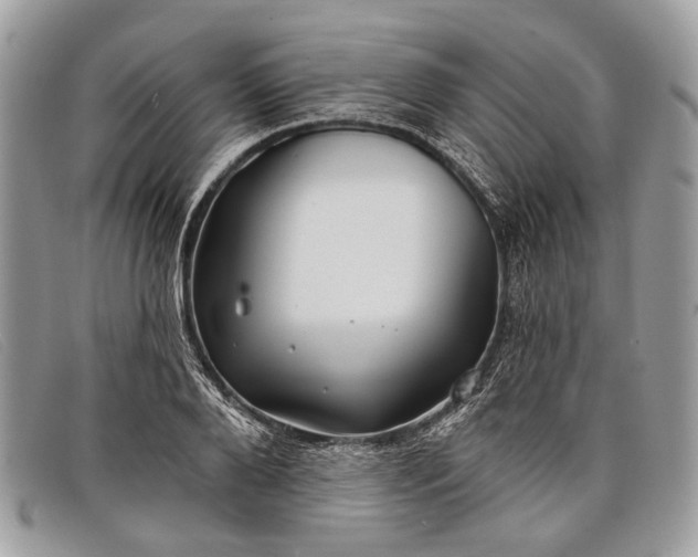 X0000098030888200804111320