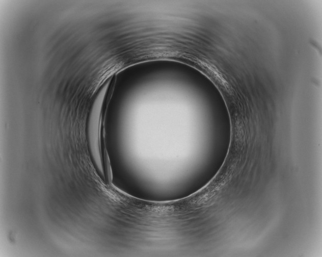 X0000098030889200804111320