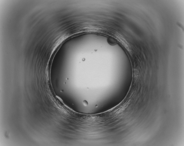 X0000098030891200804111320