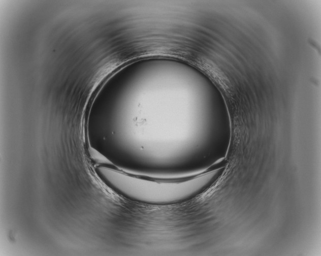 X0000098030892200804111320