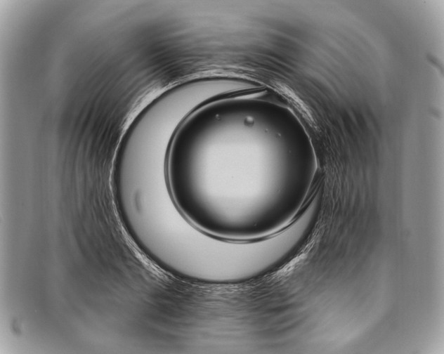 X0000098030893200804111320