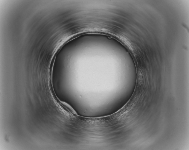 X0000098030895200804111320