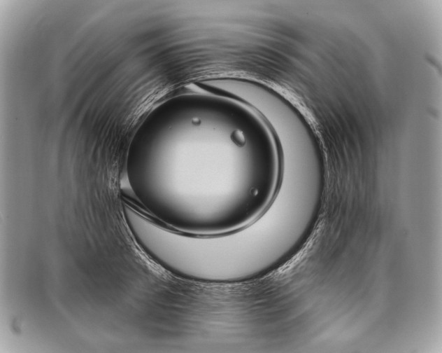 X0000098030897200804111320