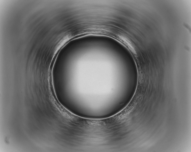 X0000098030899200804111320