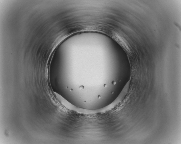 X0000098030900200804111319