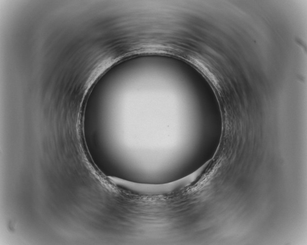 X0000098030901200804111319