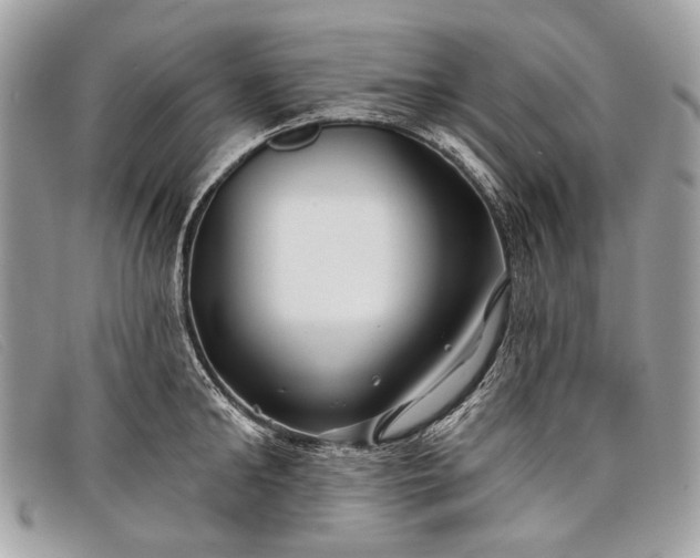 X0000098030902200804111319