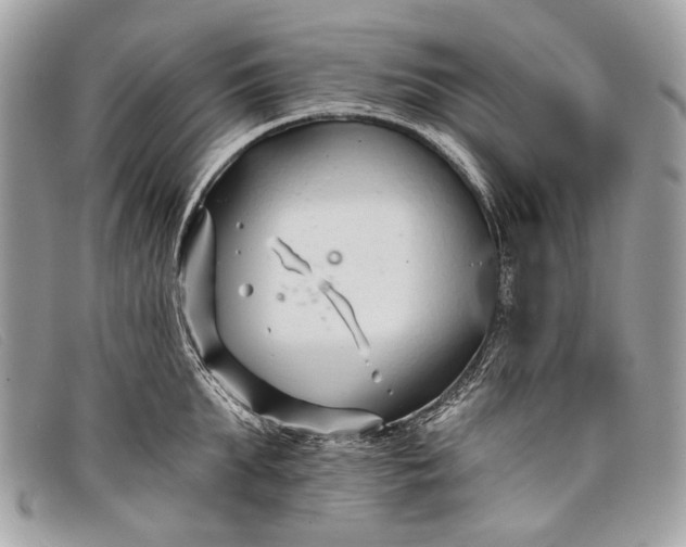 X0000098030903200804111319