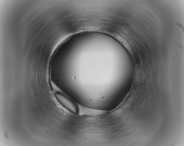 X0000098030904200804111319