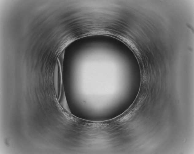 X0000098030905200804111319