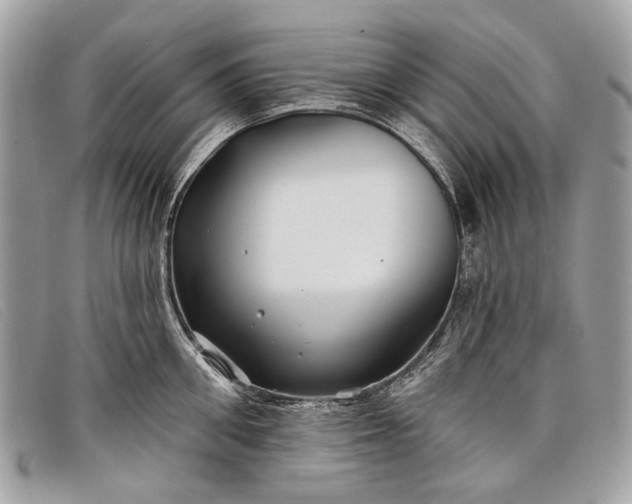 X0000098030906200804111319