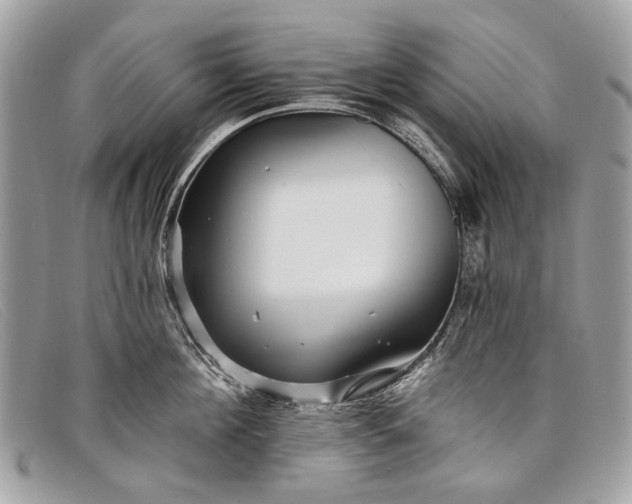 X0000098030908200804111319