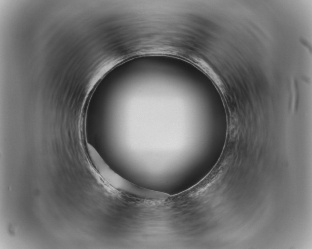 X0000098030909200804111319