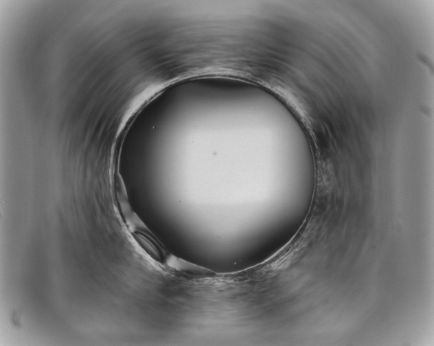 X0000098030910200804111319