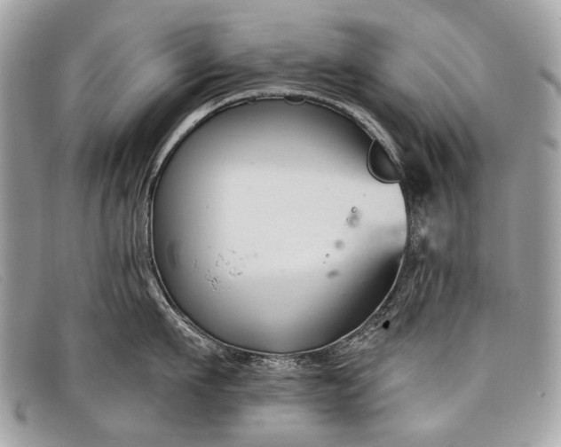 X0000098030911200804111319