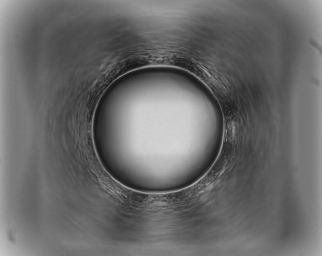 X0000098030913200804111318