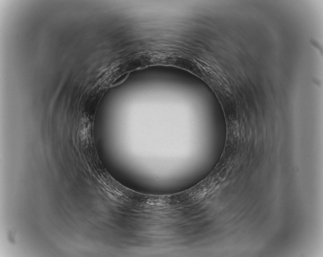 X0000098030914200804111319