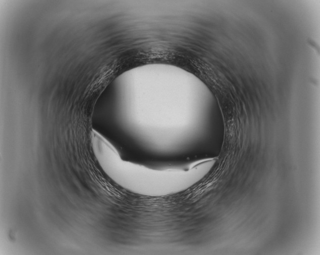 X0000098030916200804111319