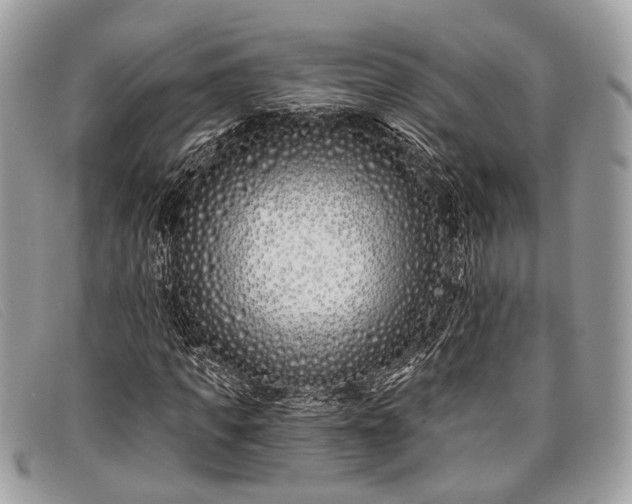 X0000098030917200804111319