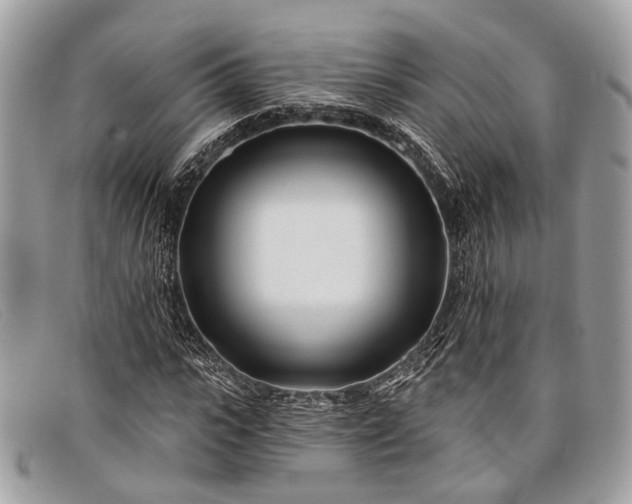 X0000098030919200804111319